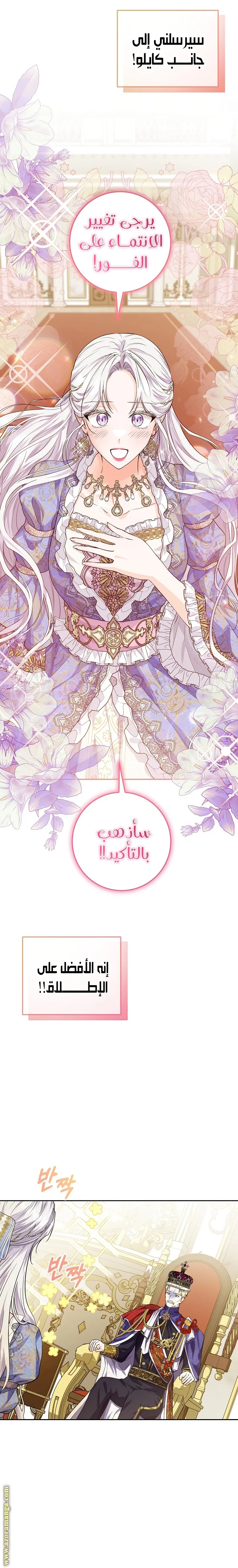 الصفحة 31
