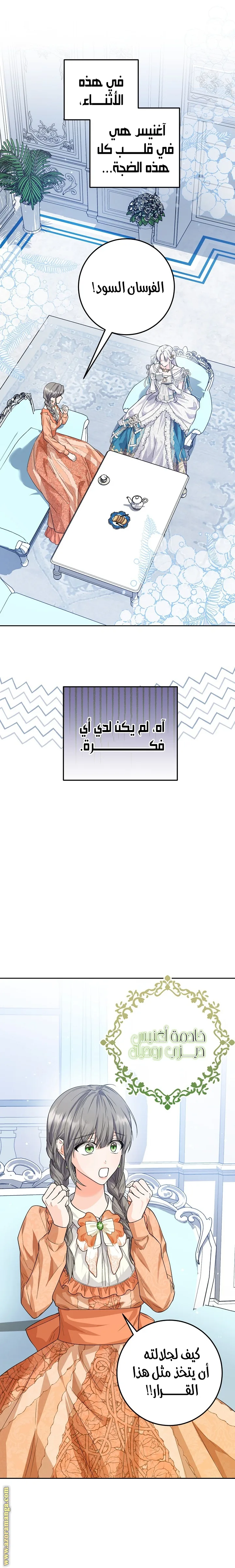 الصفحة 17