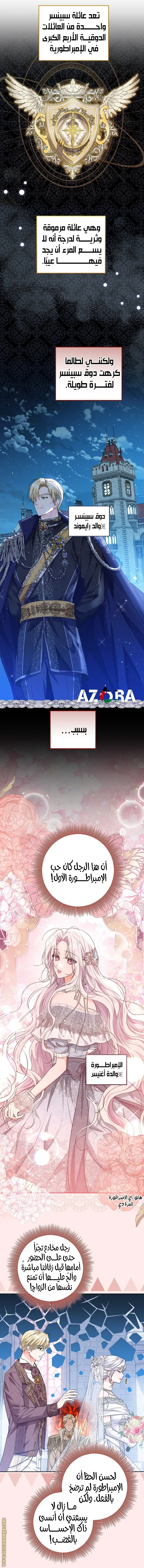 الصفحة 21