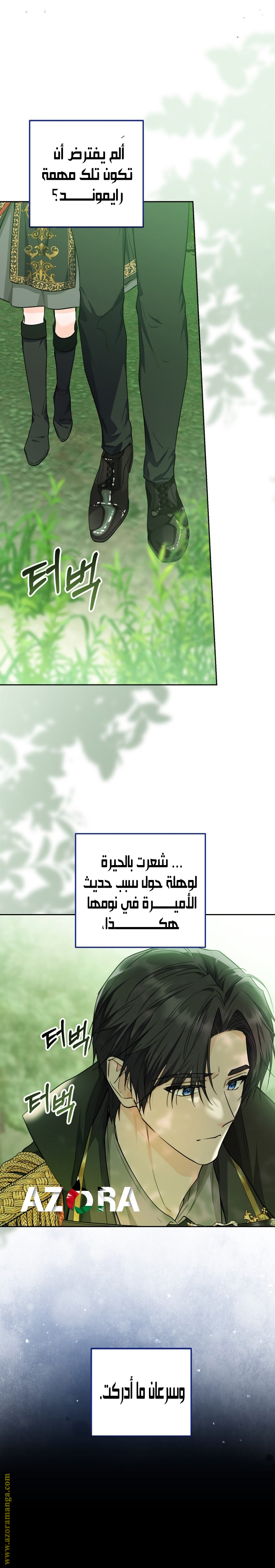 الصفحة 13