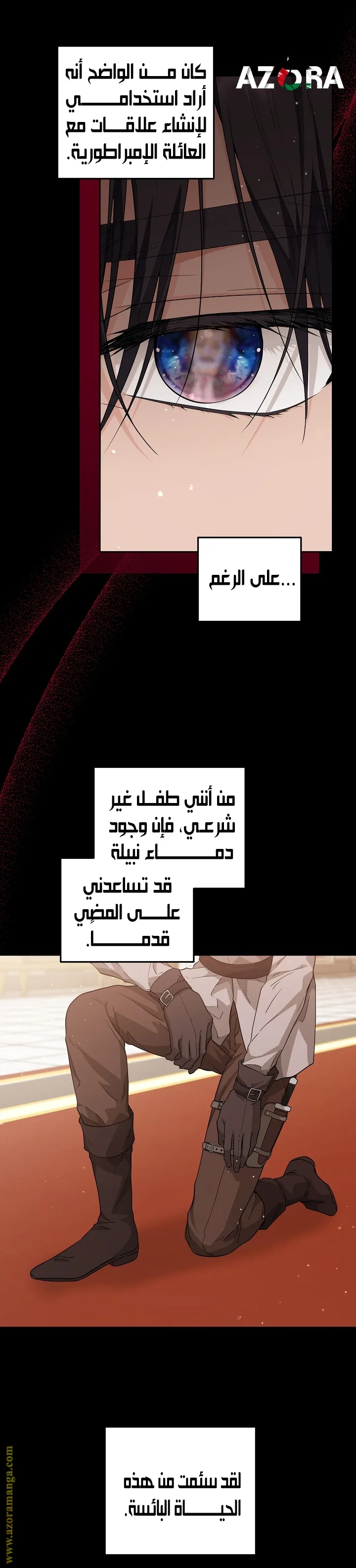 الصفحة 11