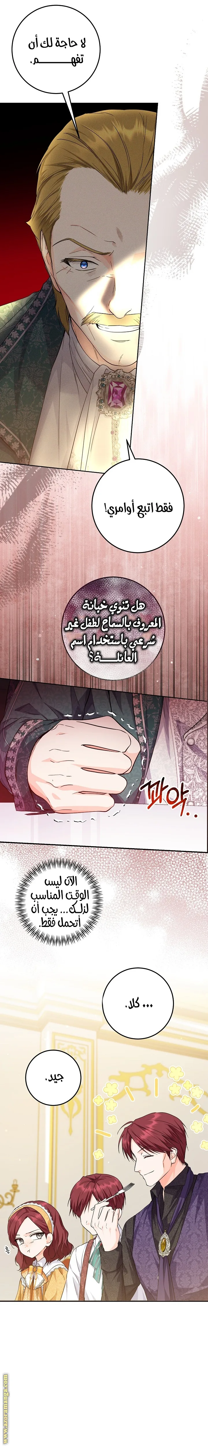 الصفحة 17