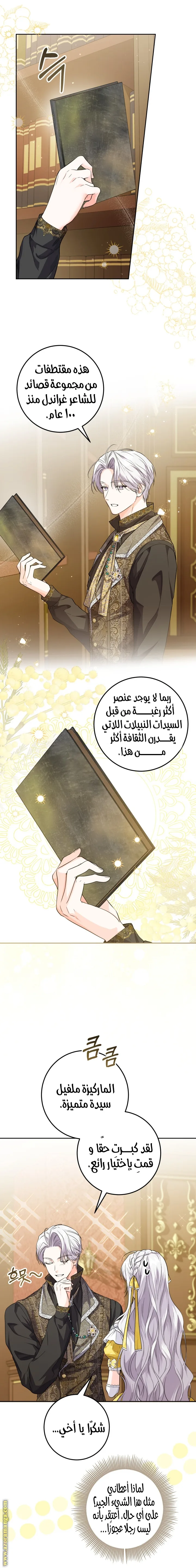 الصفحة 13