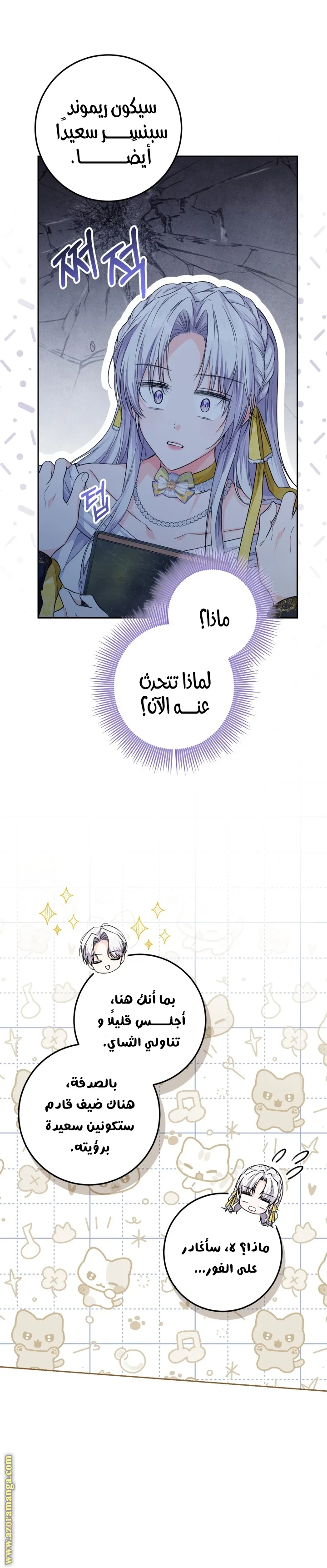 الصفحة 14
