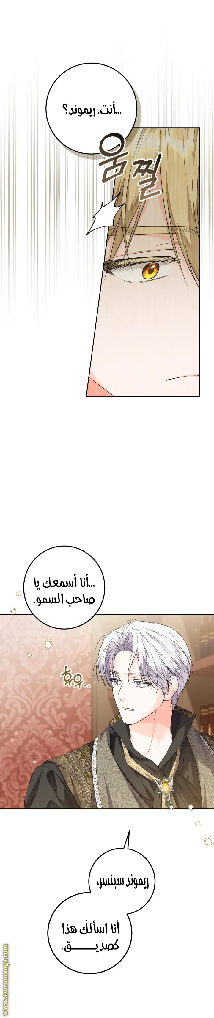 الصفحة 19