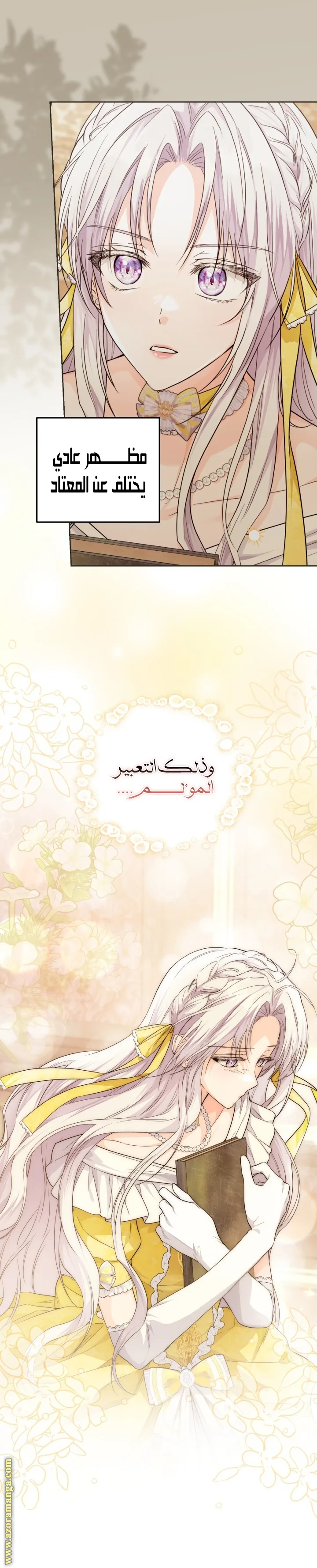 الصفحة 21