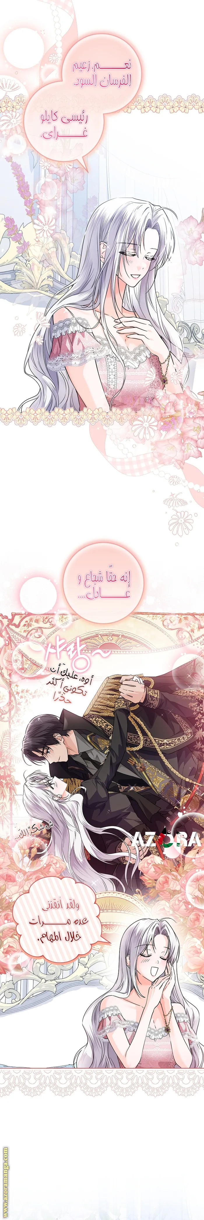 الصفحة 2