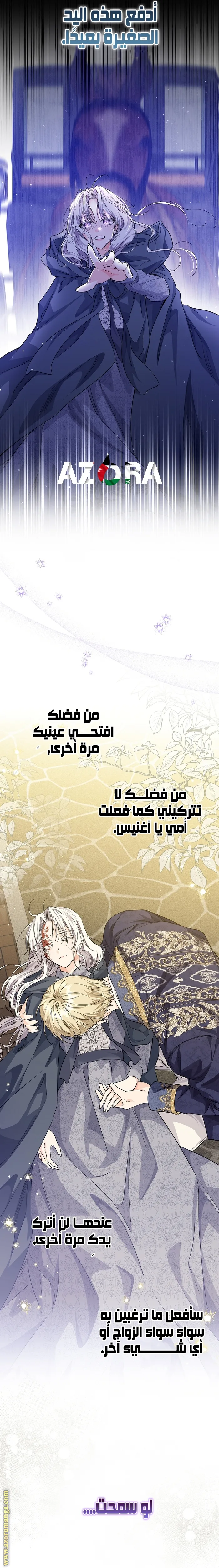 الصفحة 17