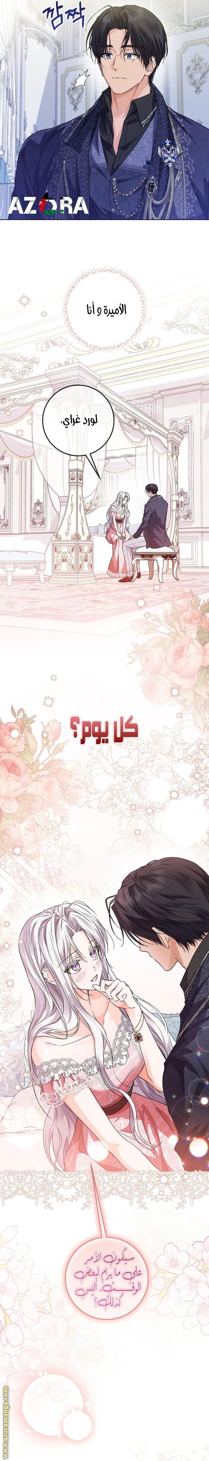 الصفحة 17