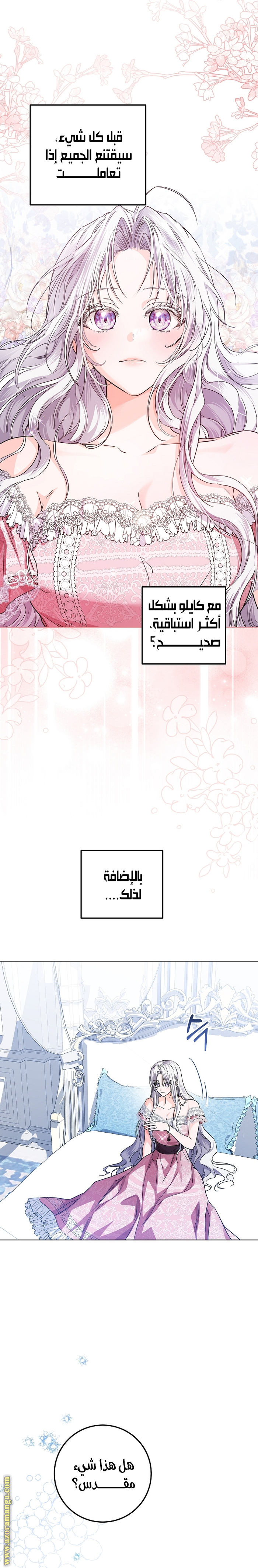 الصفحة 24