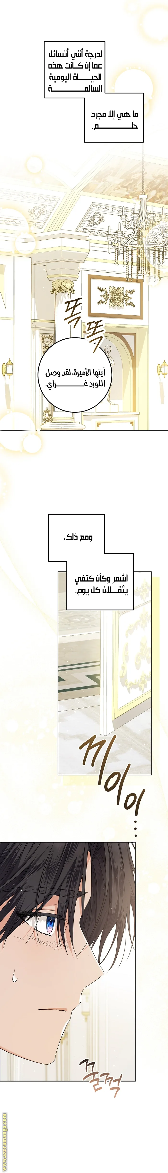 الصفحة 16