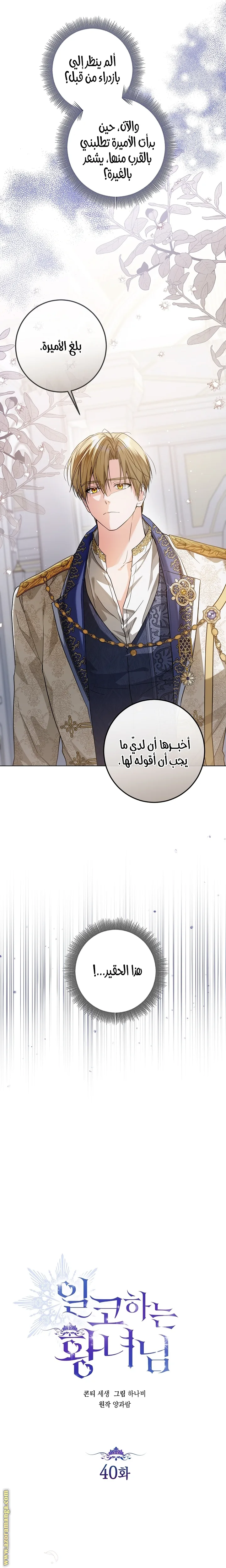 الصفحة 13
