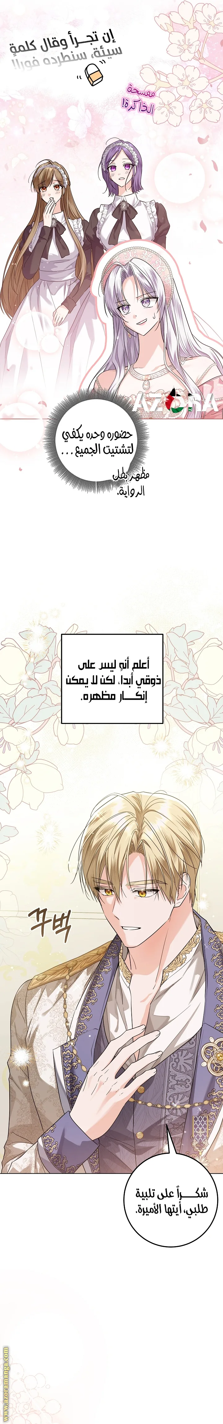 الصفحة 19