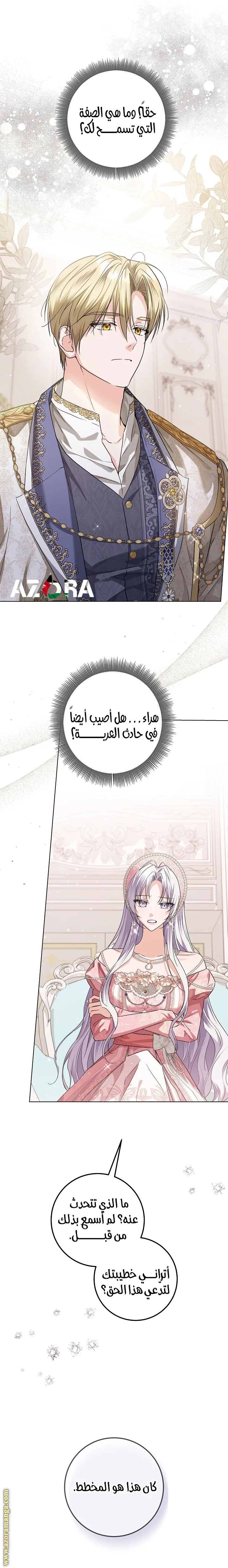 الصفحة 25