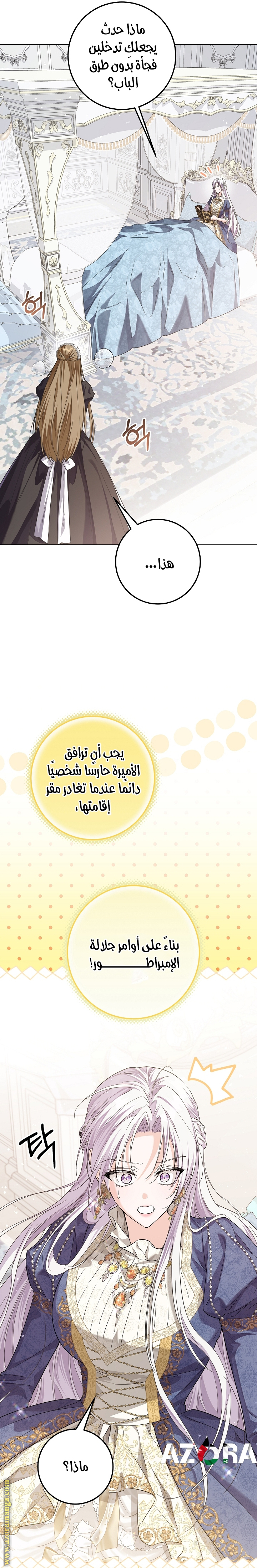الصفحة 25