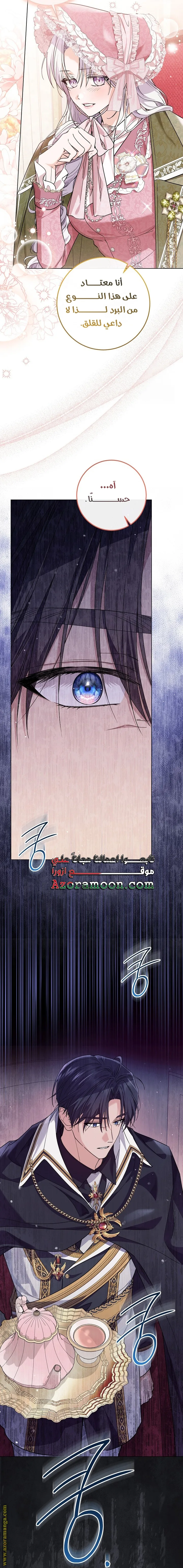 الصفحة 13