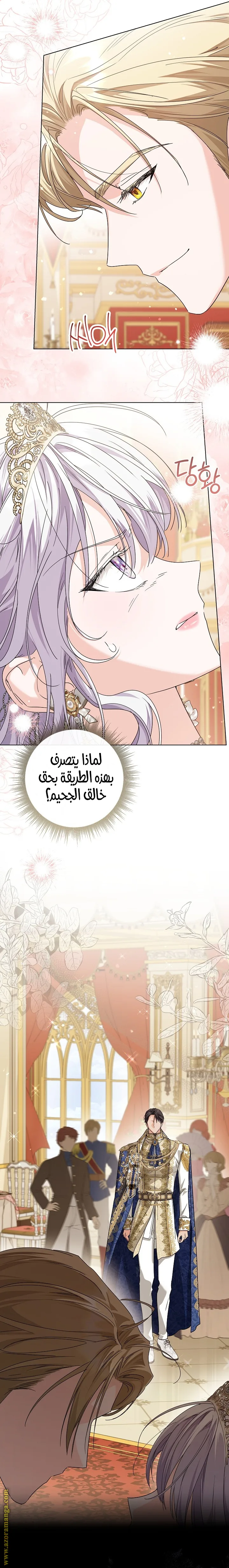 الصفحة 25