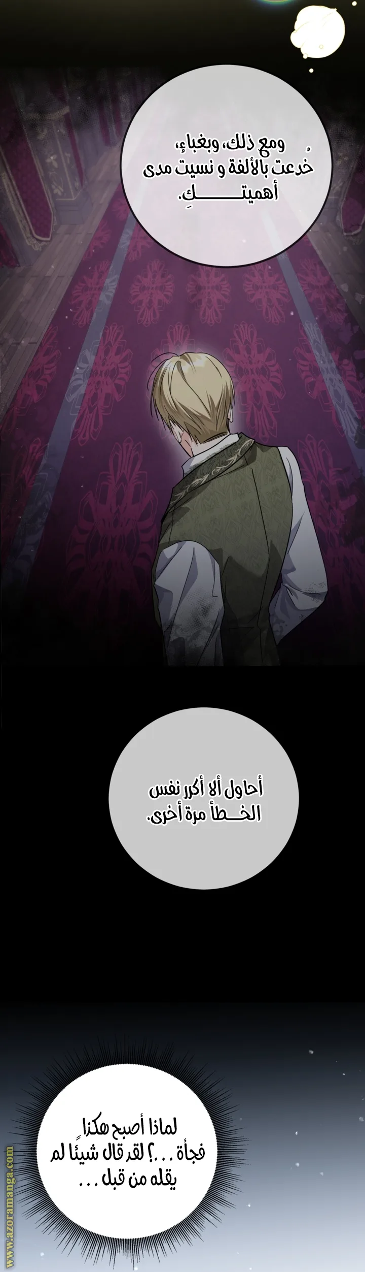 الصفحة 25