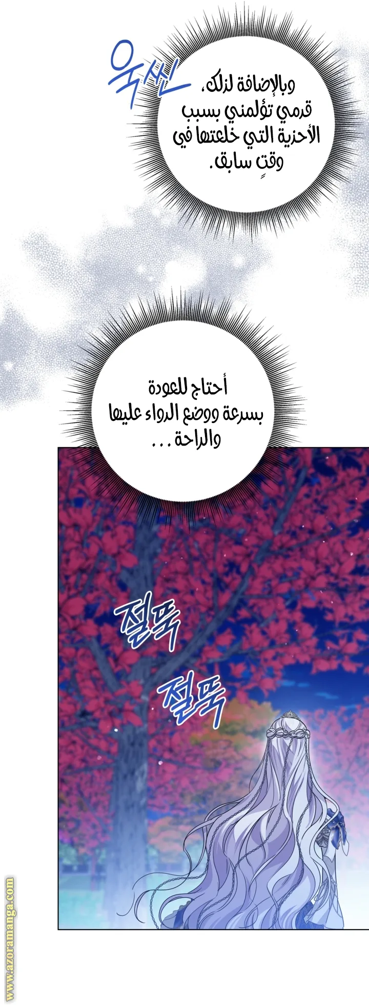 الصفحة 41