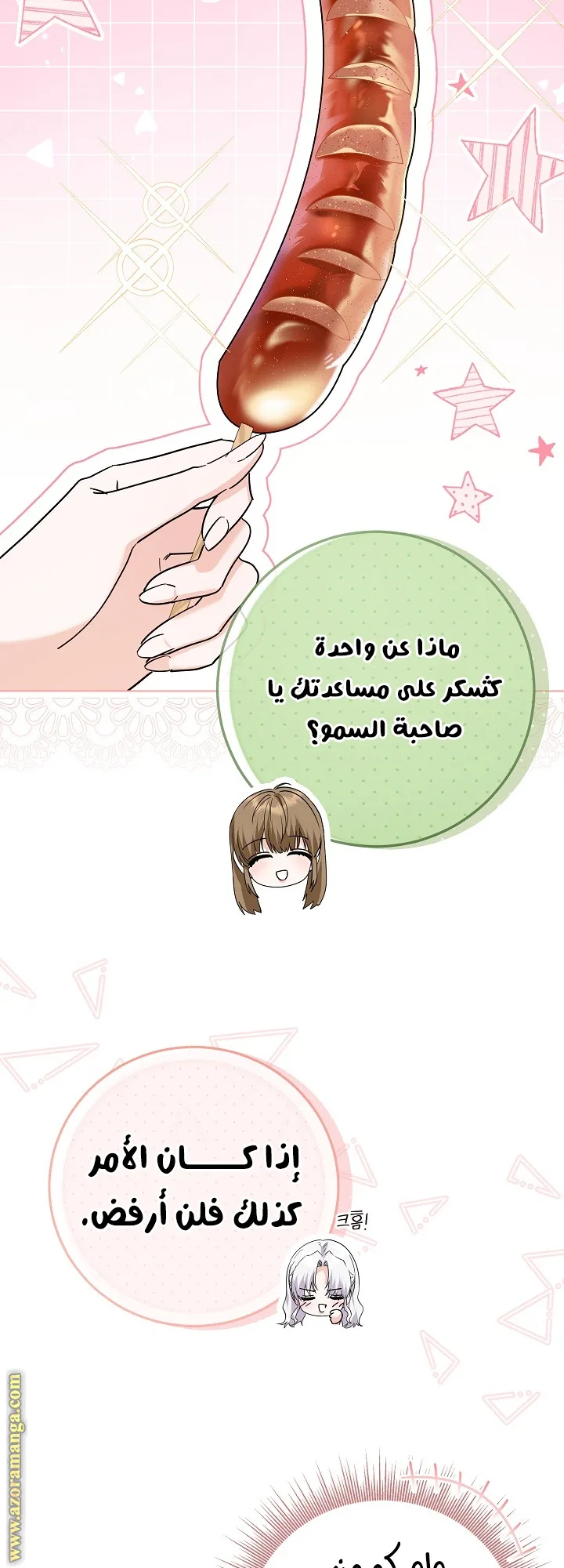 الصفحة 46