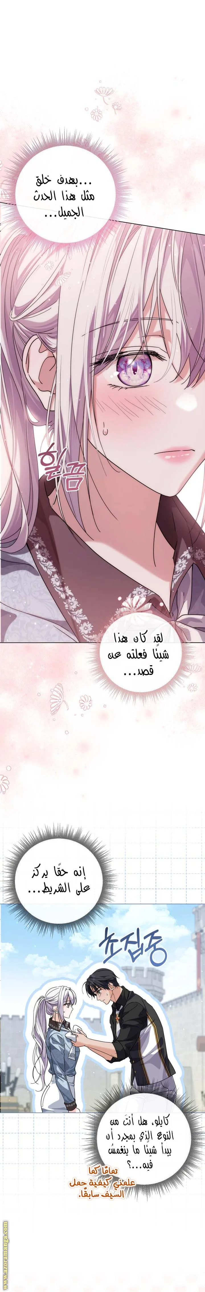 الصفحة 22