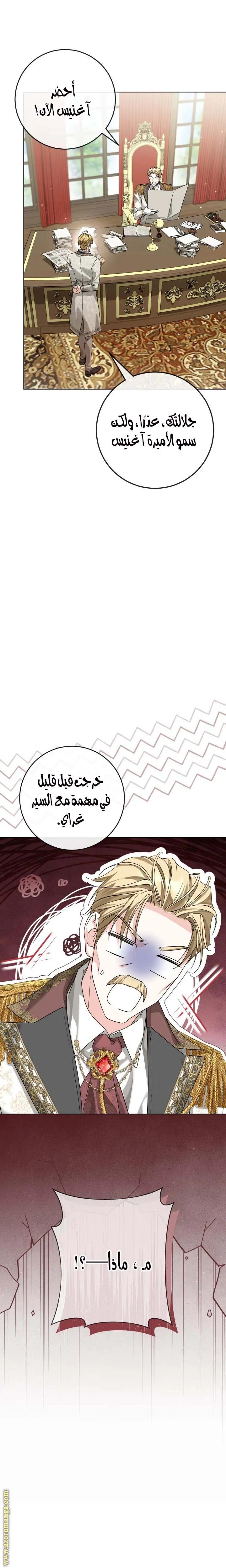 الصفحة 27