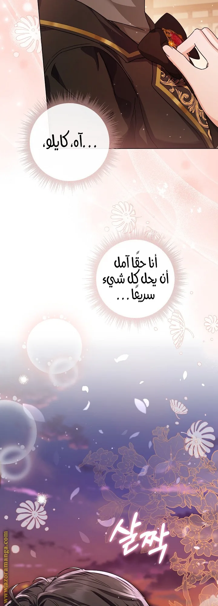 الصفحة 31