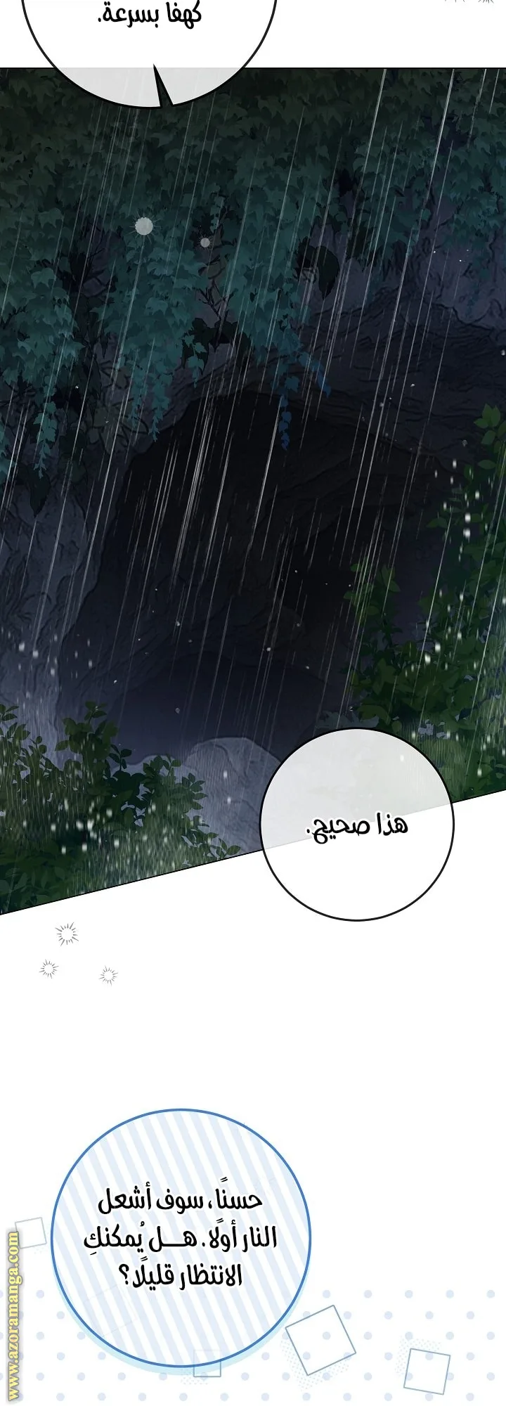 الصفحة 45