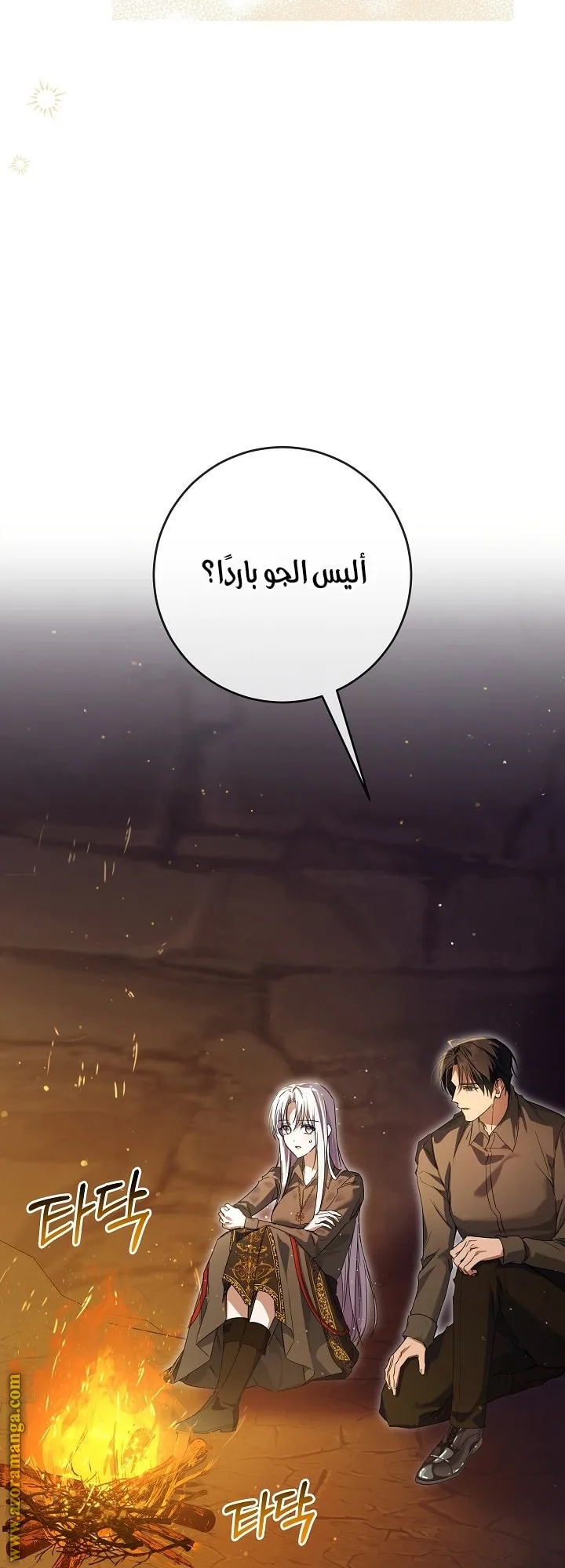 الصفحة 47