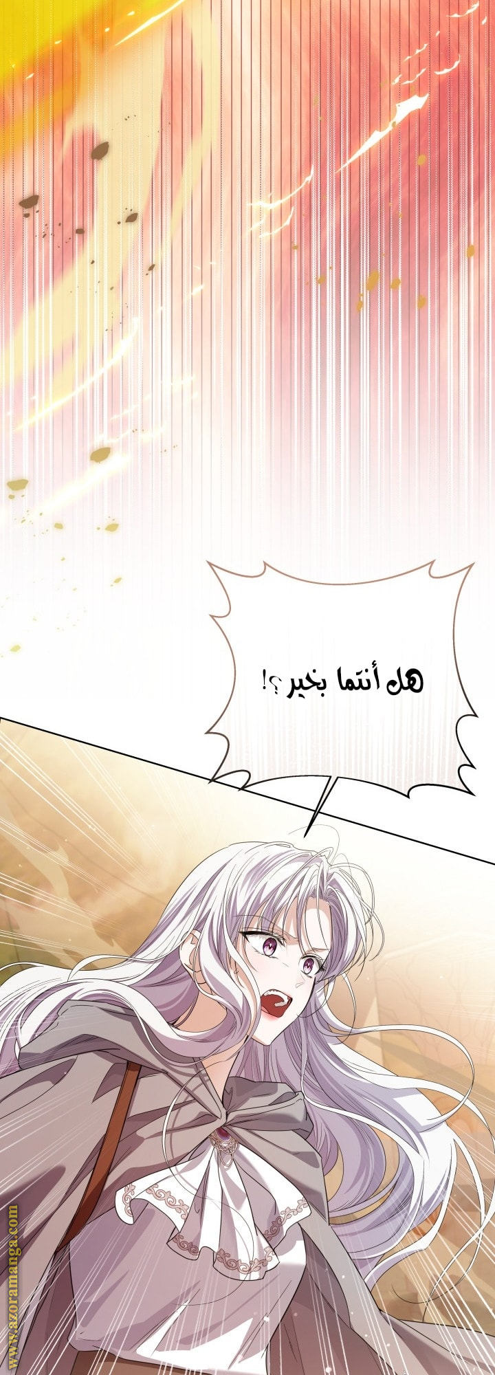 الصفحة 29