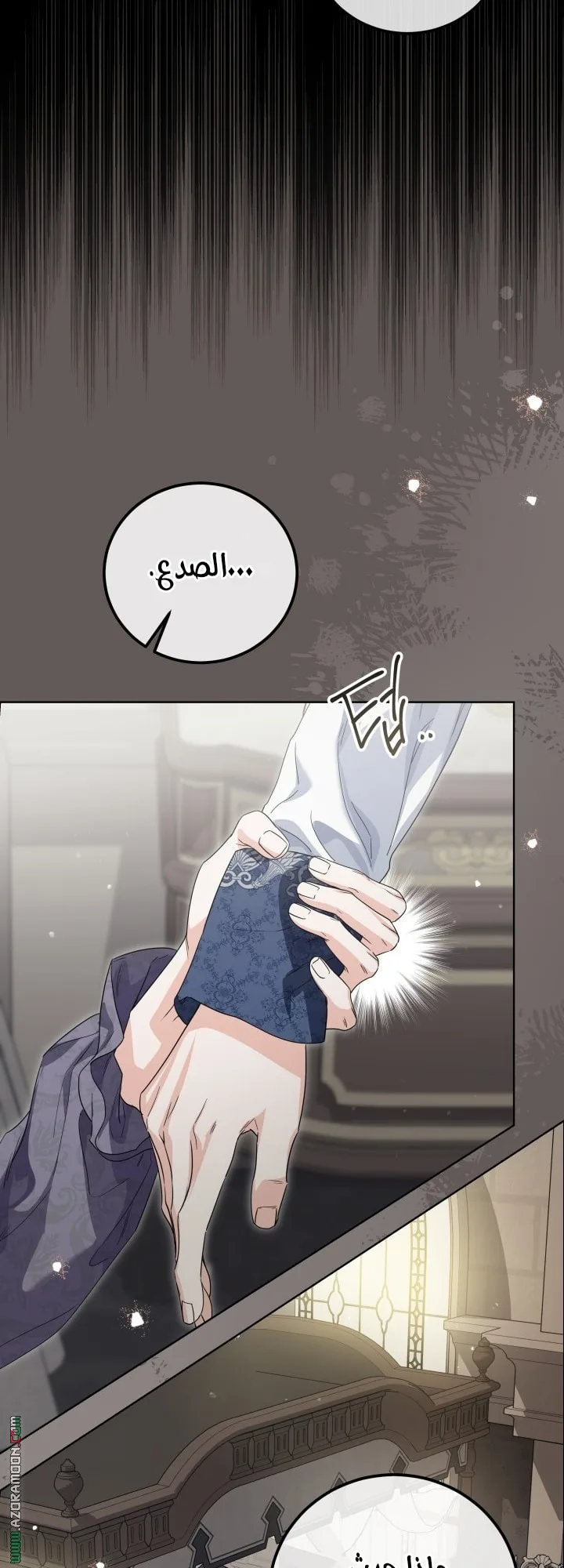 الصفحة 11