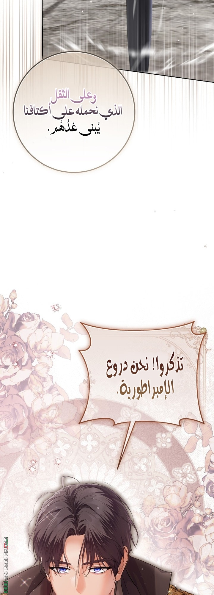 الصفحة 17
