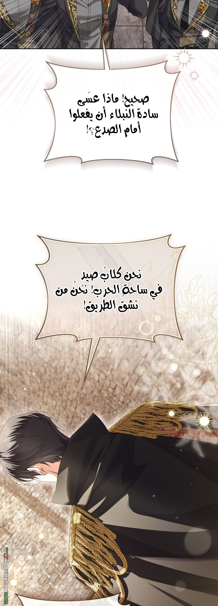 الصفحة 19