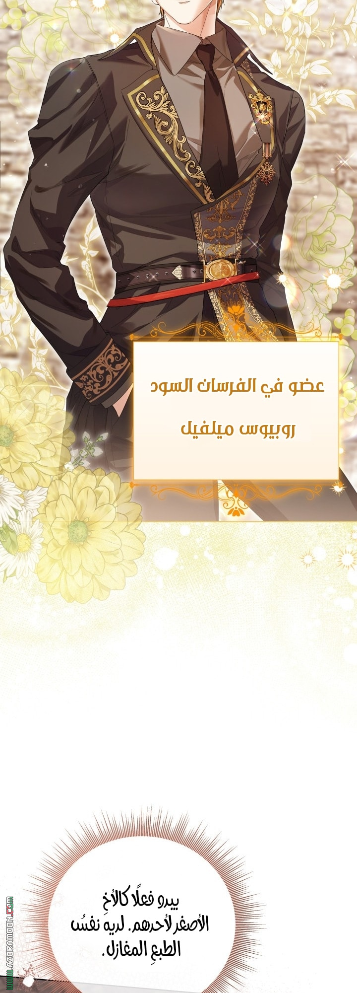 الصفحة 27