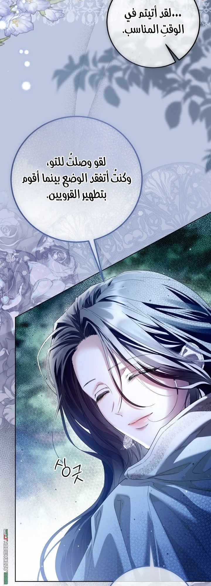 الصفحة 13