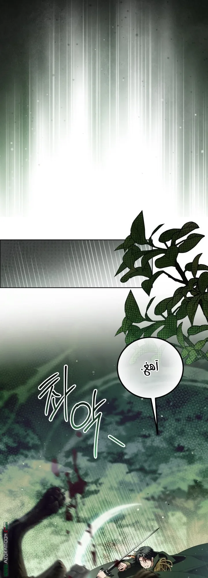 الصفحة 24