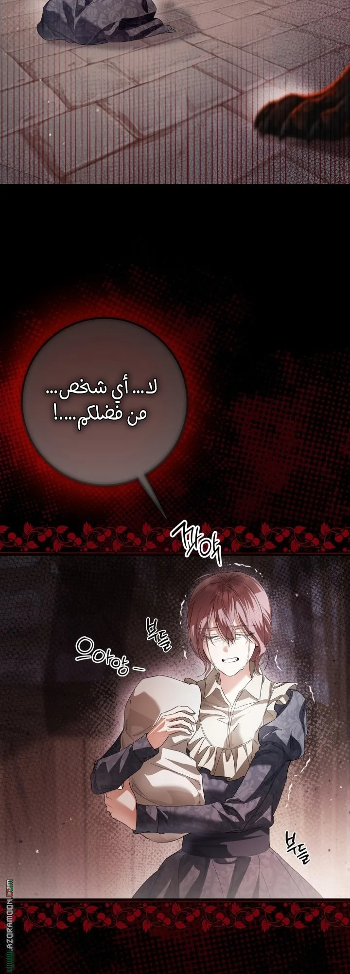 الصفحة 48