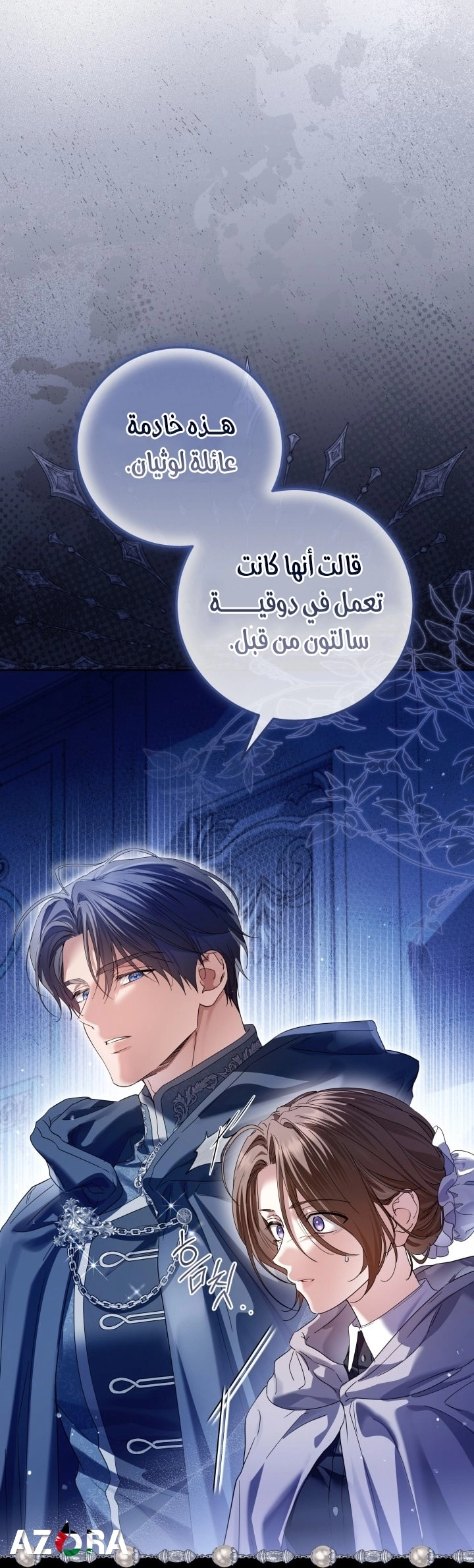 الصفحة 41