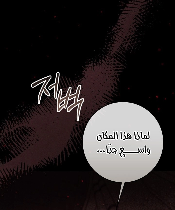 الصفحة 54