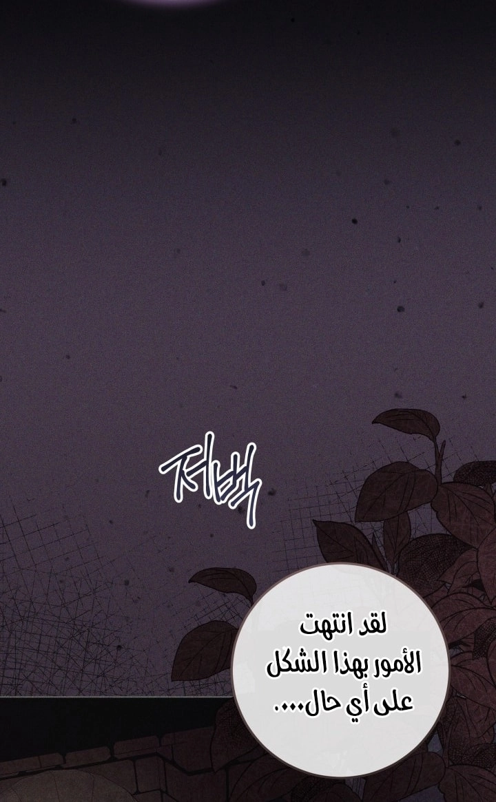 الصفحة 71