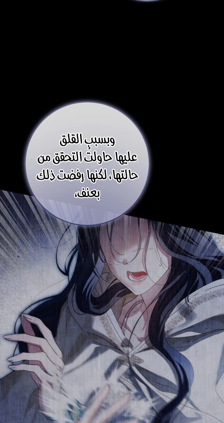 الصفحة 20