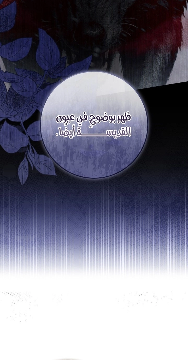 الصفحة 24