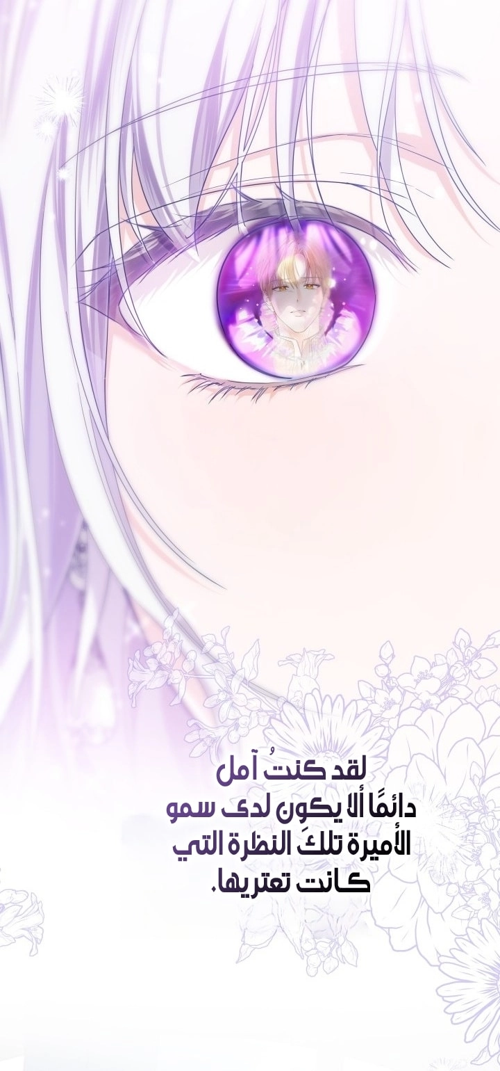 الصفحة 23