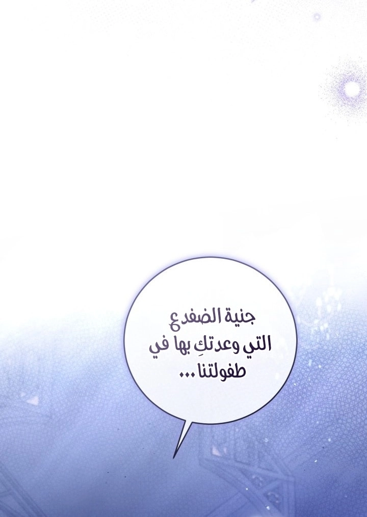 الصفحة 28