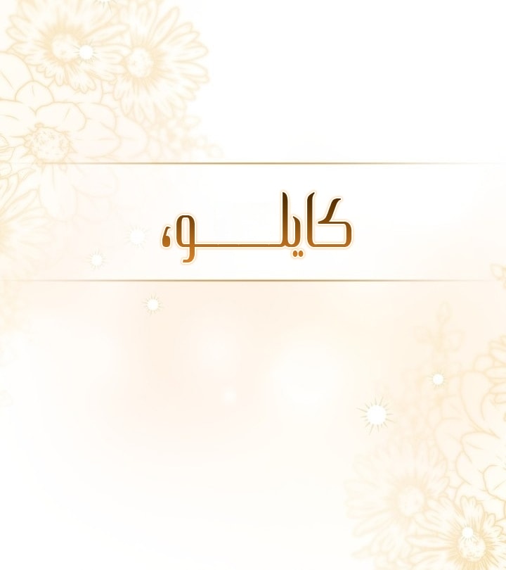 الصفحة 49