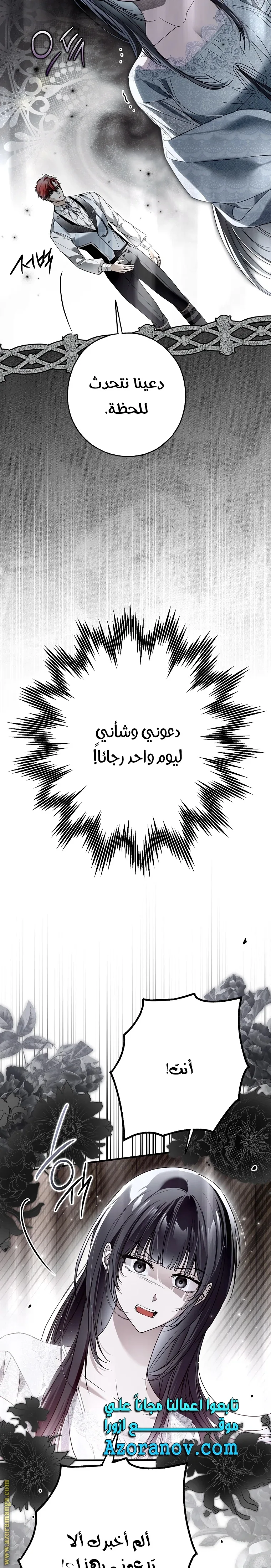 الصفحة 26