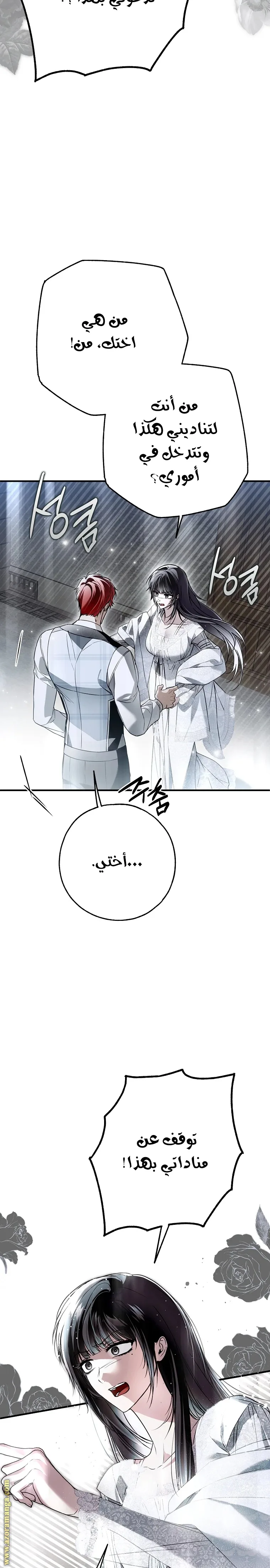 الصفحة 27