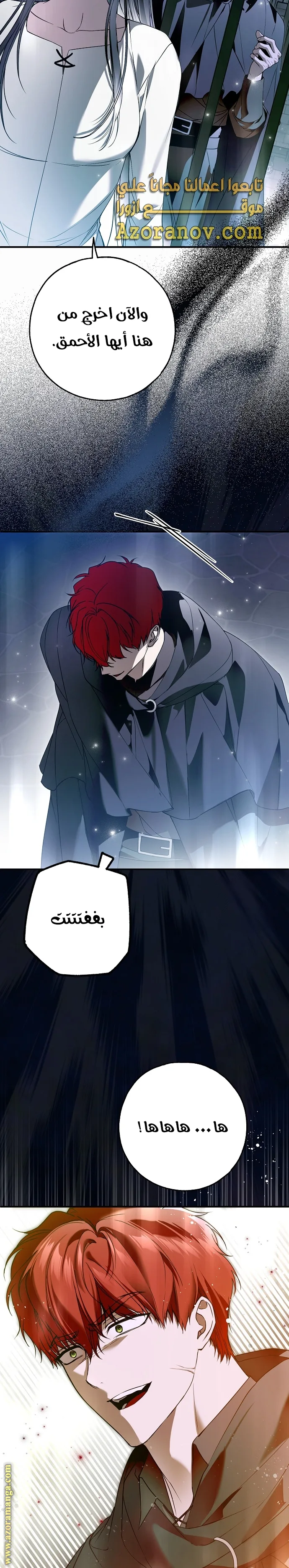 الصفحة 26
