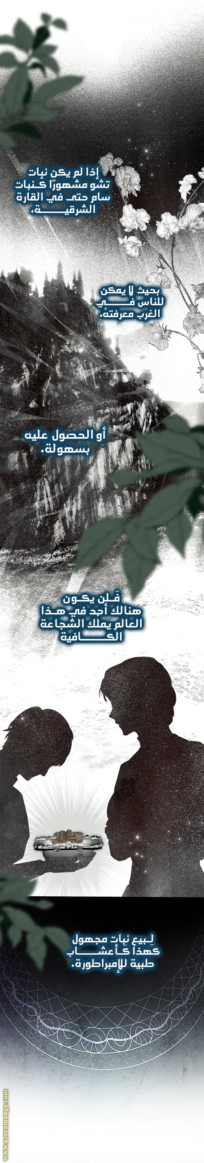 الصفحة 13