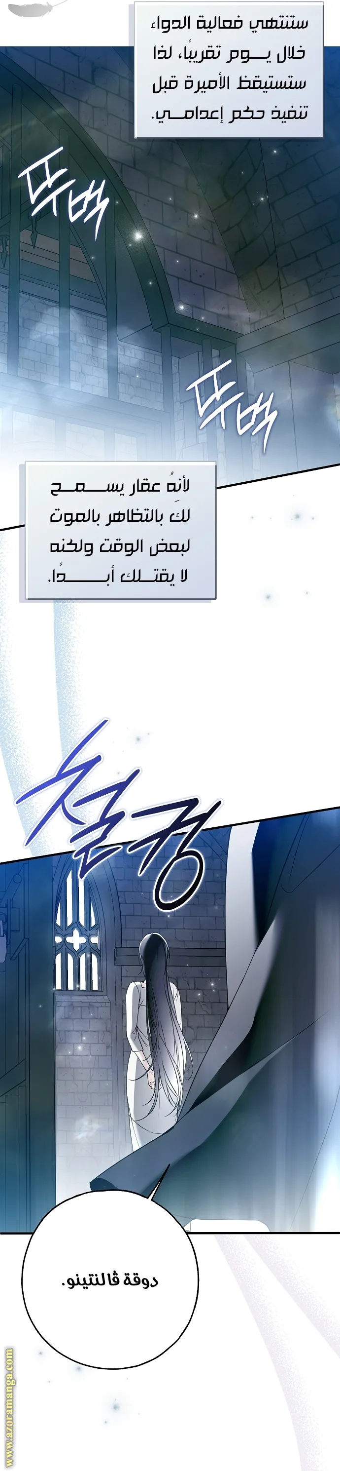 الصفحة 27